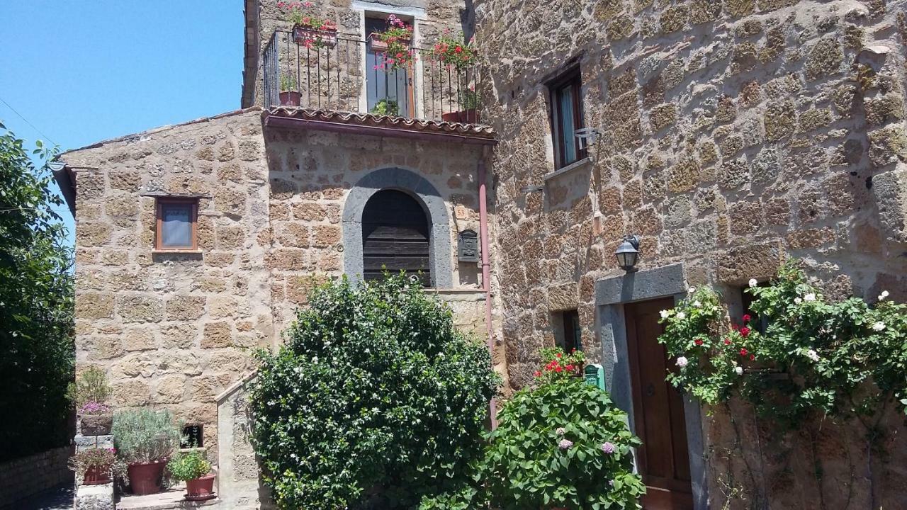 Green House - Blue House Civitella d'Agliano ภายนอก รูปภาพ