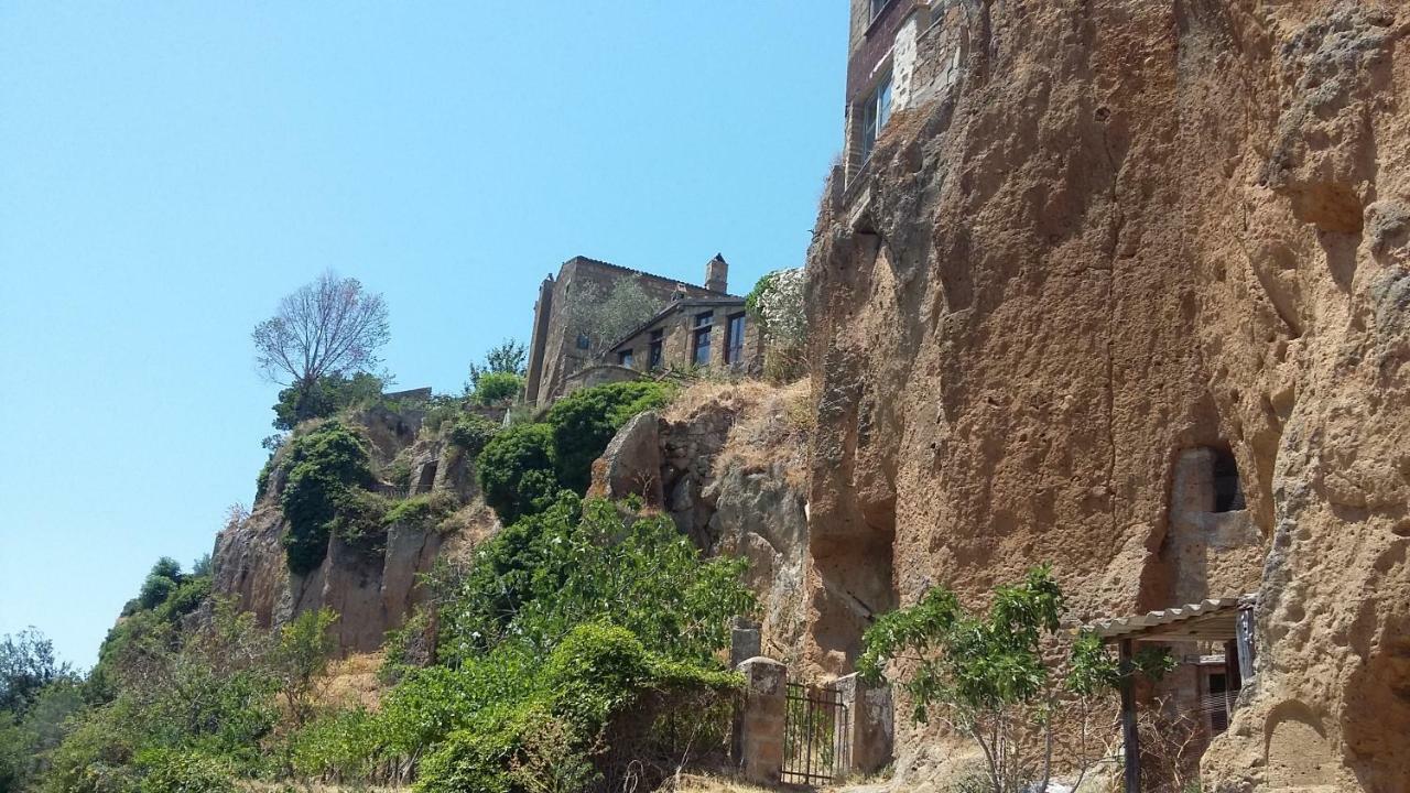 Green House - Blue House Civitella d'Agliano ภายนอก รูปภาพ