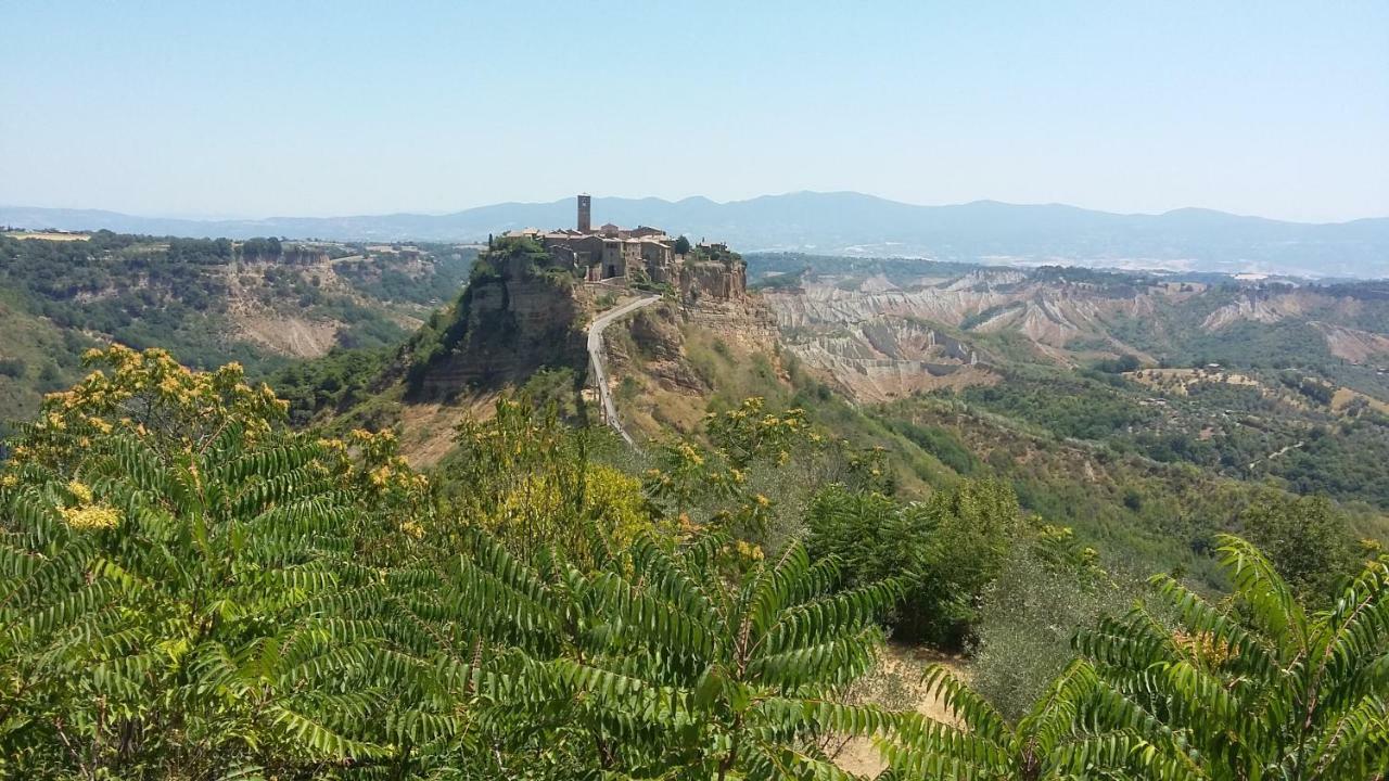 Green House - Blue House Civitella d'Agliano ภายนอก รูปภาพ